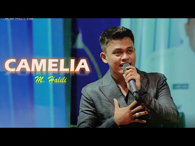 CAMELIA // M HALILI // NEW D'SWARA MUSIC // LIVE PETIK LAUT DHARMA TANJUNG CAMPLONG SAMPANG class=