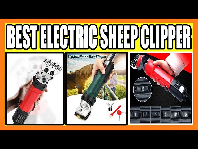 Top 5 Best Electric Sheep Clipper in 2022 
