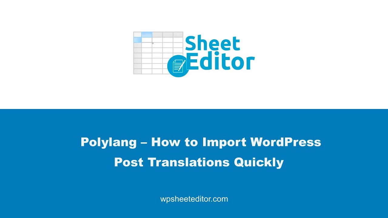video WP Sheet Editor