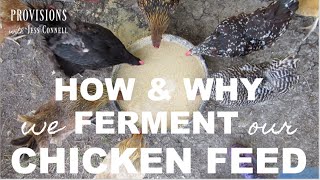 HOW & WHY We Ferment Our Chicken Feed