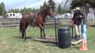 Jim & Maverick - Road To The Horse 1