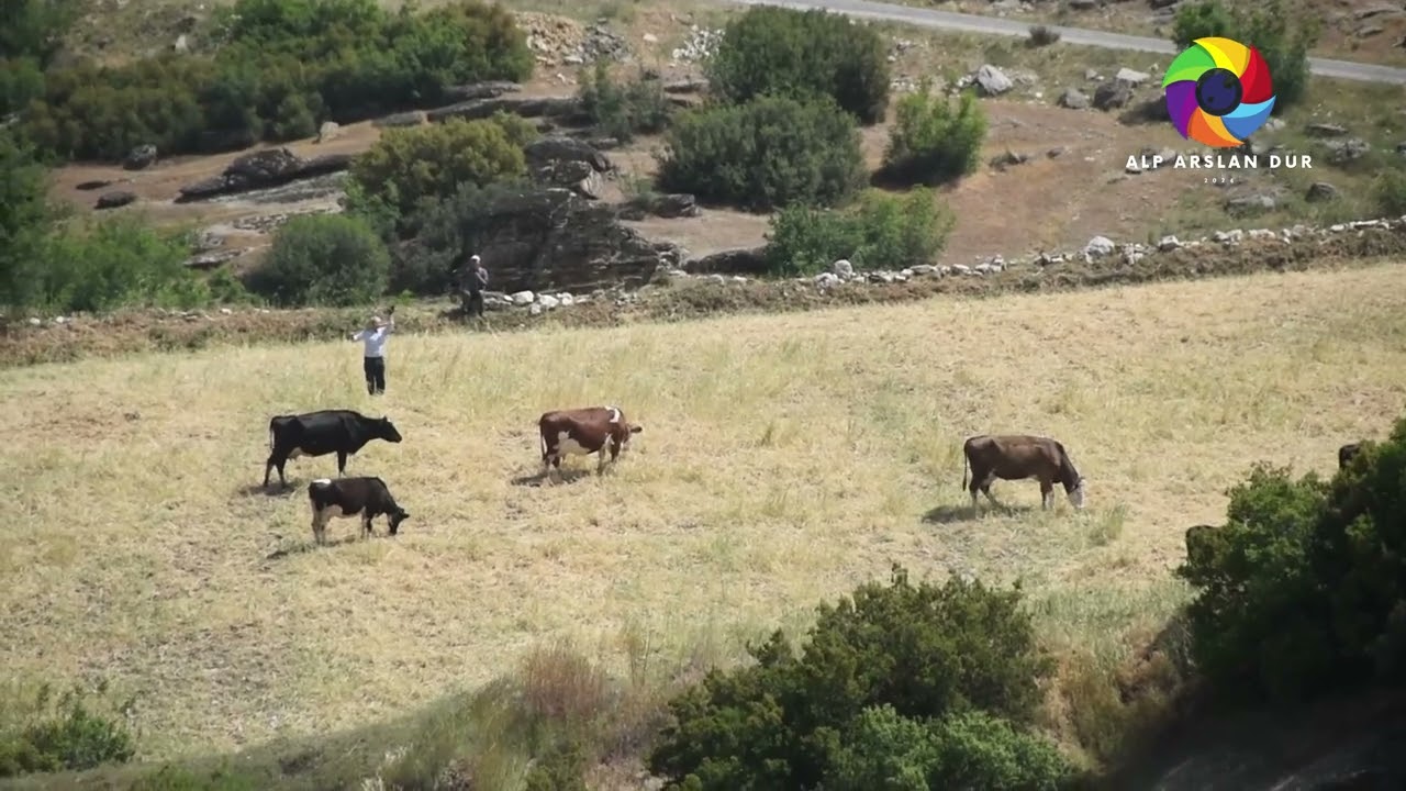 DELİBAŞLI KÖYÜ - EŞME - UŞAK (2)