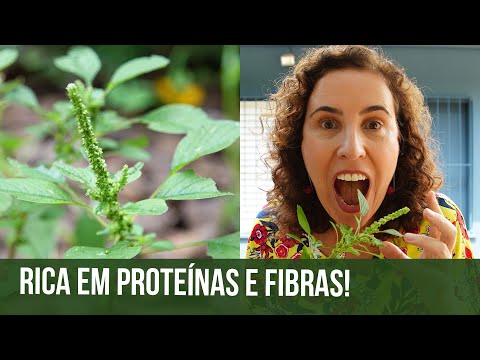 Vídeo: A caruru é comestível: aprenda sobre o uso de plantas caruru no jardim