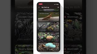 Track the Wild app - Plant, Mushroom & Insect AI Identifier