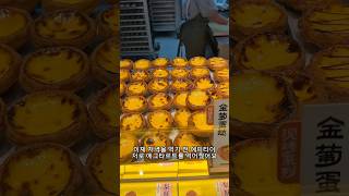 도륜이의 칭따오 여행 브이로그
