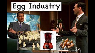 Egg Industry Pitch Meeting