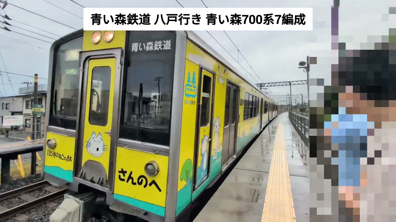 11ぴきのねこラッピング車両】青い森鉄道 八戸行き 青い森700系7編成