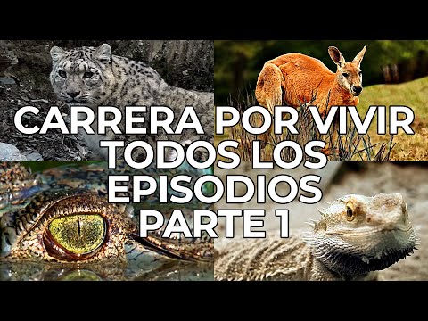 Carrera por Vivir: Todos los Episodios Parte 1 | Free Documentary Nature -  Español