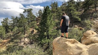 HIKE COLORADO SPIRNGS WITH A DOG -  Palmer Park.