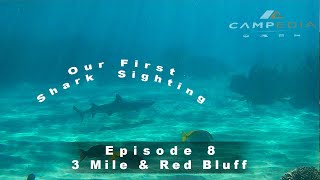 💥Our first time swimming with a reef Shark 💥.  3 Mile to Red Bluff and Gnaraloo Bay