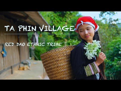 Red Dao Ethnic Tribe inTa Phin Village (Part 1)