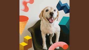 Pulsating Chill Out - Vibe for Calm Puppies