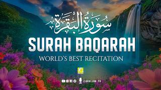 Surah Al-Baqarah Full سورة البقره | Ultimate Relaxing Beauitful Majestic Recitation | Zikrullah TV