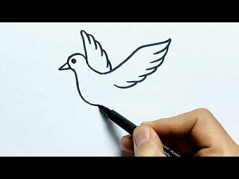 ✅ Çok Kolay Kuş Resmi Çizimi 🕊️ Güvercin  Çizimi Nasıl Yapılır - Adım Adım Resim Çizme Dersleri