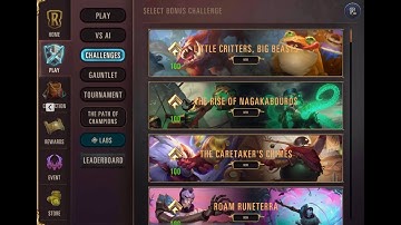 Little Critters Big Beasts Challenge