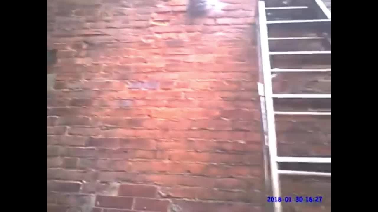Body cam video shows dramatic fire rescue - YouTube