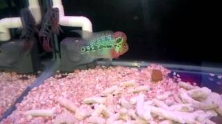 WP_20150520_11_27_50_Pro.mp4