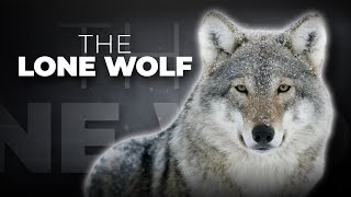Download Lagu ARE YOU A LONE WOLF? SIGNS YOU ARE A LONE WOLF | THE POWER OF WALKING ALONE MP3