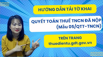 Hướng Dẫn Cách Tải Tờ Khai Quyết Toán Thuế TNCN Đã Nộp Mới Nhất