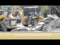 Earth's Surface Features: Forces That Construct and Destroy