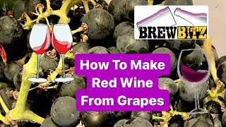 How To Make Red Wine From Grapes in Just 2 Weeks