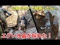 山奥をガチで探索したらエグい水晶が採れました【鉱石採集】