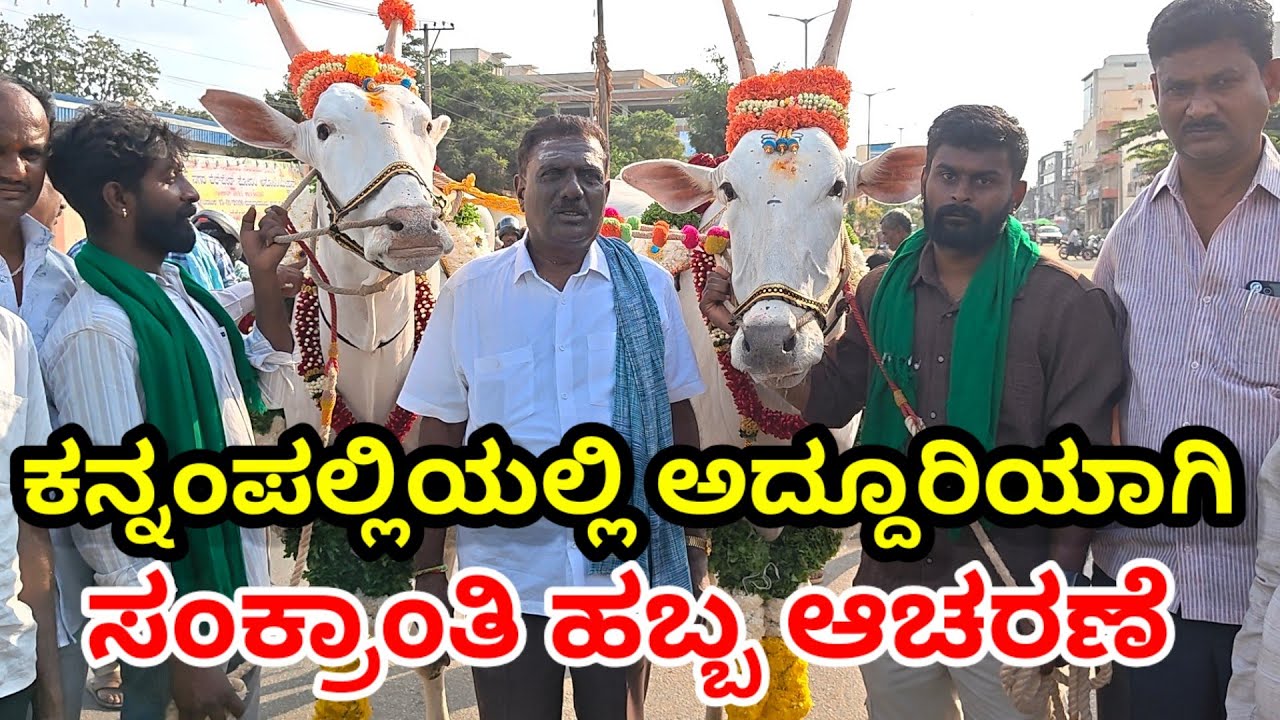 ಅದ್ದೂರಿಯಾಗಿ ಕನ್ನಂಪಲ್ಲಿಯಲ್ಲಿ ಎಂಪಿಸಿಎಸ್ ಅಧ್ಯಕ್ಷ ಸಿಎನ್ ಬಾಬುರೆಡ್ಡಿ ನೇತೃತ್ವದಲ್ಲಿ ಸಂಕ್ರಾಂತಿ ಹಬ್ಬ ಆಚರಣೆ 