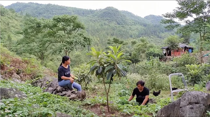 雙向奔赴就是當你奮不顧身的為一個人時他恰好也在熱烈的回應你【貴州偉妹一家】 - 天天要聞