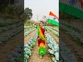 Desh Mere || Republic Day Special #shorts #republicday #farmer #kisan #ytshorts #tredingshorts