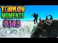 EFT Moments 0.14.5 ESCAPE FROM TARKOV | Highlights &amp; Clips Ep.255