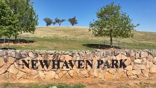 Newhaven Park praised for role in history and tradition of thoroughbreds