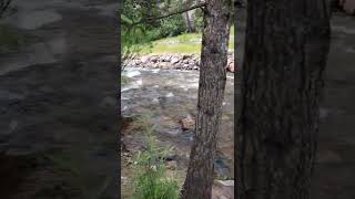 Eldorado Canyon State Park