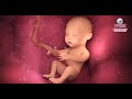 How does diabetes affect women’s fertility? | Meet Our Chief Doctor at BMICH, Colombo!