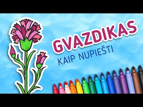 Video: Gvazdikų žolė