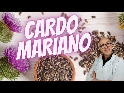 Cardo Mariano para que serve? É verdade que é ótimo para o Fígado?