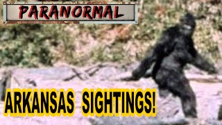 Bigfoot Sightings in Miller County Arkansas