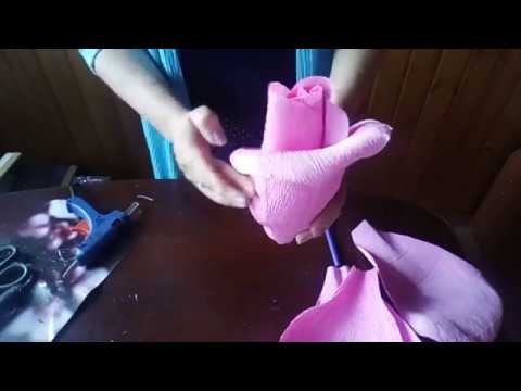 Video: Гезит роза гүлдөрү менен алкак