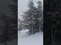 حين يمرّ الثلج على جبال البابور – سطيفWhen Snow Touches Babor Mountains – Setif