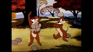Chip And Dale | Food For Feudin | Funny Clip # 1 