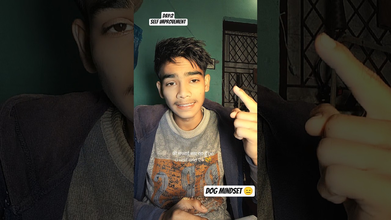 Think Like A Wolf To Train Dog |Think like wolf