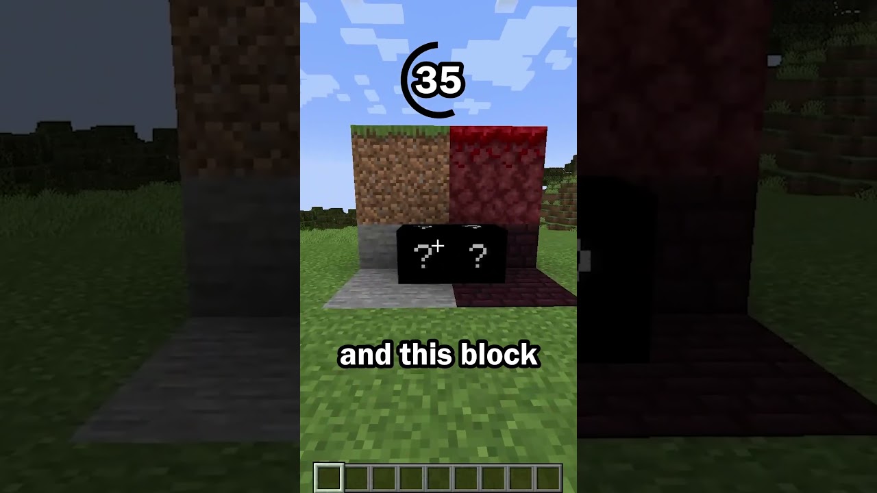 Guess the Minecraft block in 60 seconds 82