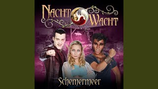 Video thumbnail of "Nachtwacht - Schemermeer"