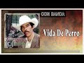 Vida De Perro - Juan Rodriguez | Con Banda Sinaloense