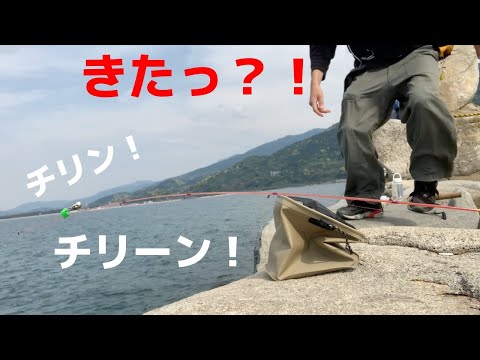 初心者の海釣り！鱒レンジャーでぶっ込み釣りにあたり連発？！根掛かりも連発・・・