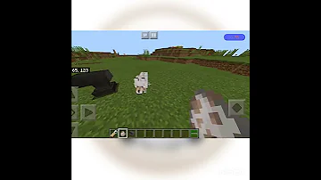 سويت خروف ملون الوان قوس قزح 