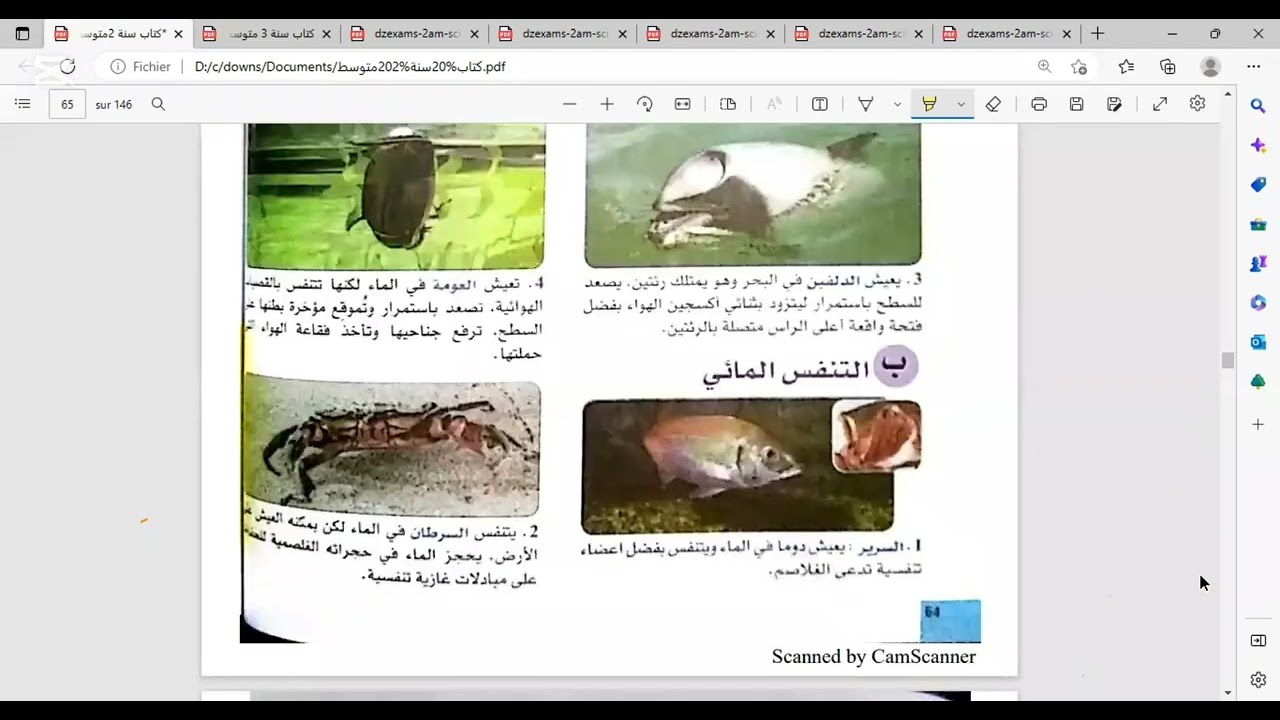 تأثير تلوث الماء على توزع الحيوانات ثانية متوسط و تمارين متنوعة مقترحة للاختبار
