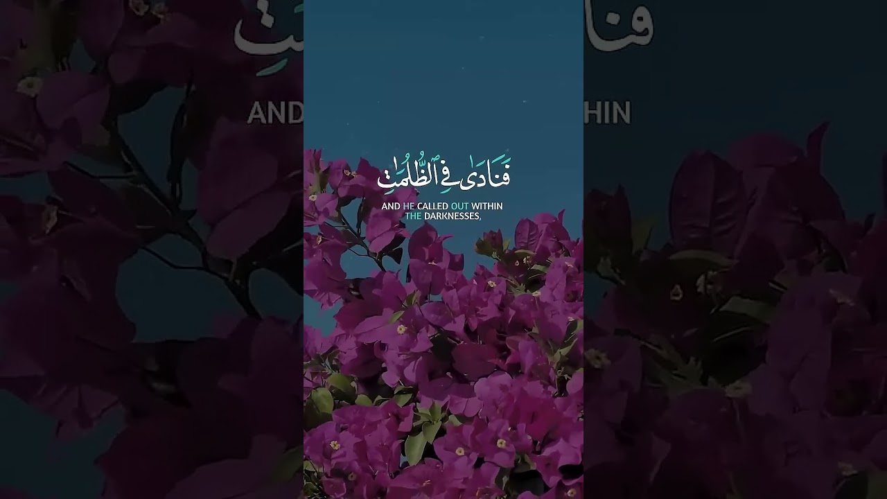 دعاء أنقذ نبي الله من الظلمات | تلاوة مؤثرة للشيخ عبد الباسط
