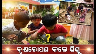 Children made plantation to restore greenery || MBCTv screenshot 3