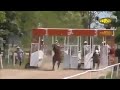 SUKUWA ARAB SUKUWA ARAB