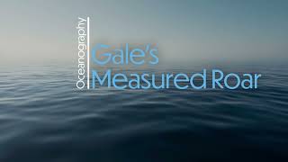 Gale's Measured Roar: Weather enthusiasts and music fans who love raw vibes with meteorology